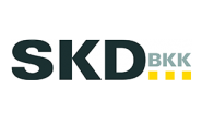 SDK